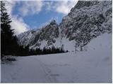 NC Planica - Dom v Tamarju